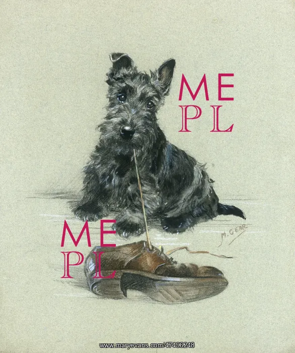 : Scottie pup with shoe : Scottie pup with shoe
