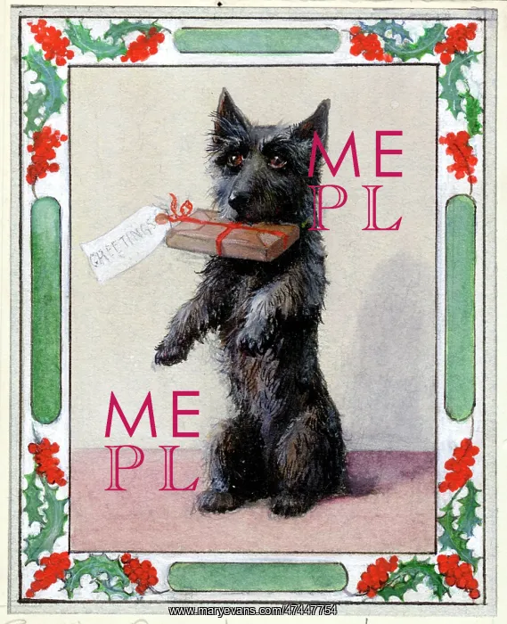  : Scottie's Present