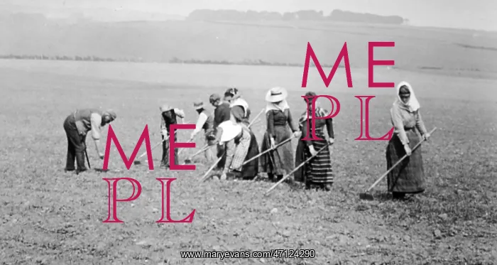  : Scottish farm workers