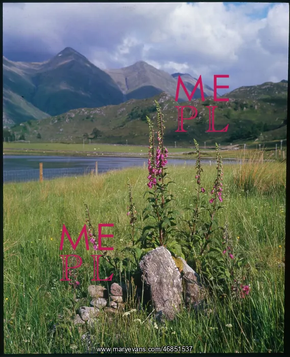 : SCOTTISH GLENS : SCOTTISH GLENS