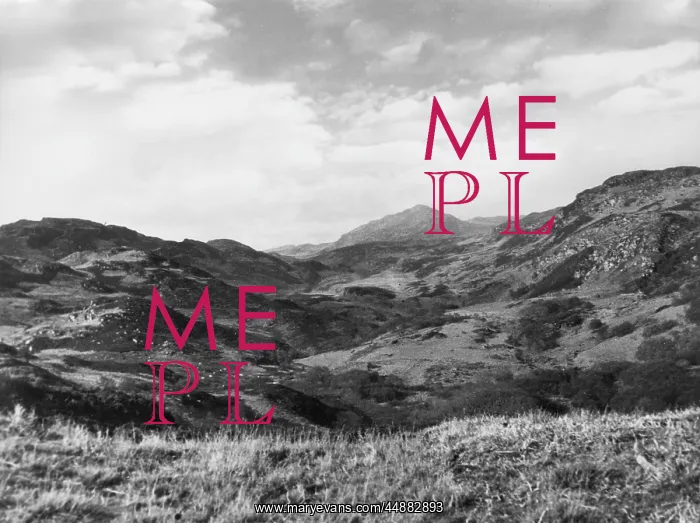 : SCOTTISH MOORLAND : SCOTTISH MOORLAND
