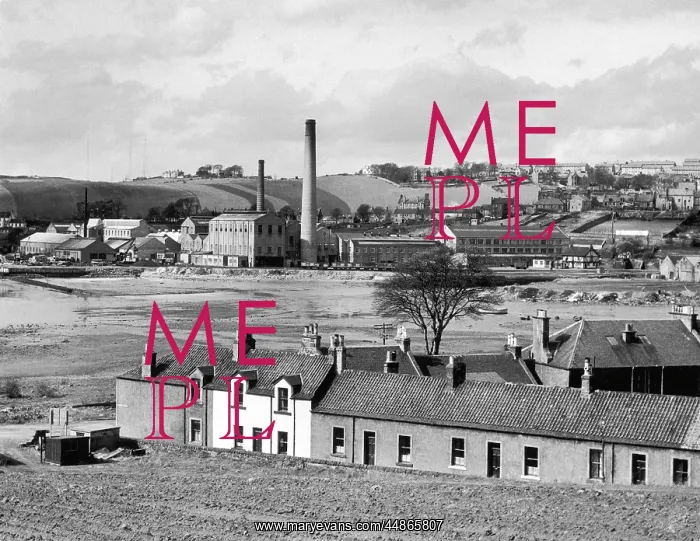 : SCOTTISH PAPER MILLS : SCOTTISH PAPER MILLS