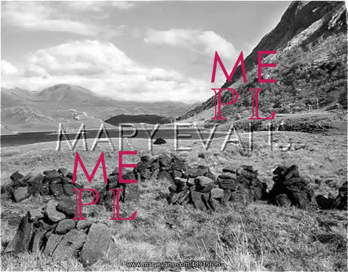 : SCOTTISH PEAT : SCOTTISH PEAT