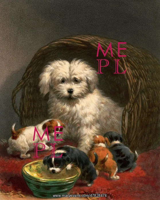 : Scottish Terrier and Pups, 1867 : Scottish Terrier and Pups, 1867