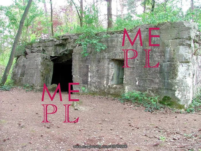 : Scotts Bunker, Polygon Wood, Belgium : Scotts Bunker, Polygon Wood, Belgium