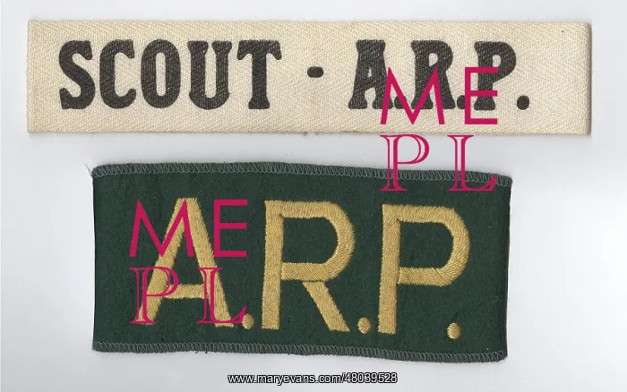 : Scout ARP armbands : Scout ARP armbands