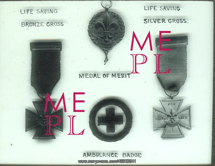 : Four Scout badges and awards : Four Scout badges and awards
