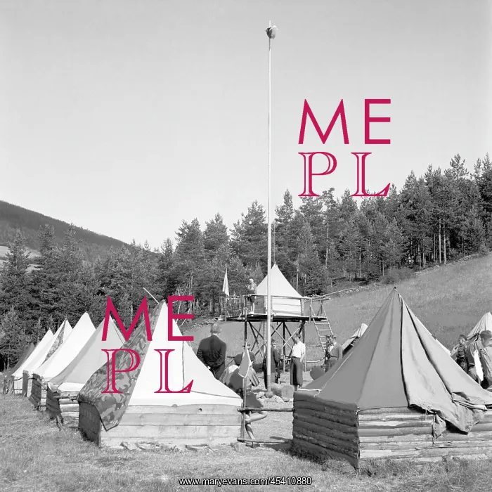: Scout camp : Scout camp