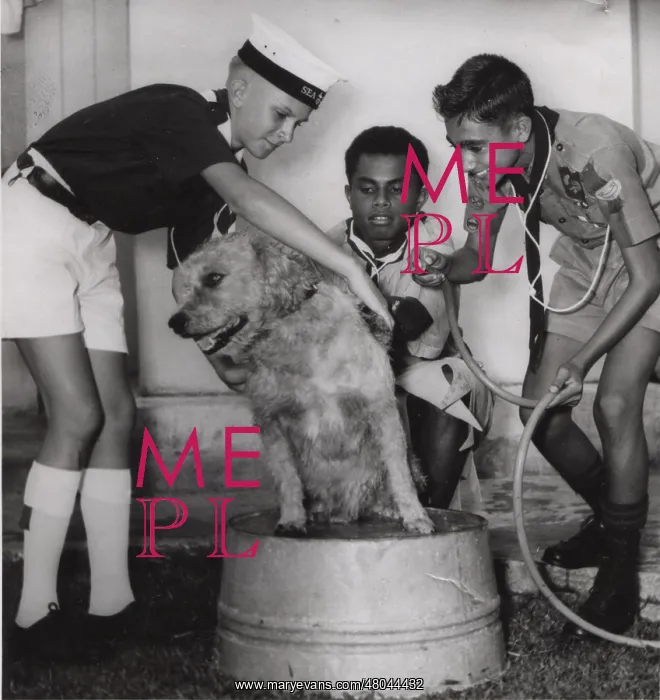 : Scouts from Fiji, South Pacific : Scouts from Fiji, South Pacific
