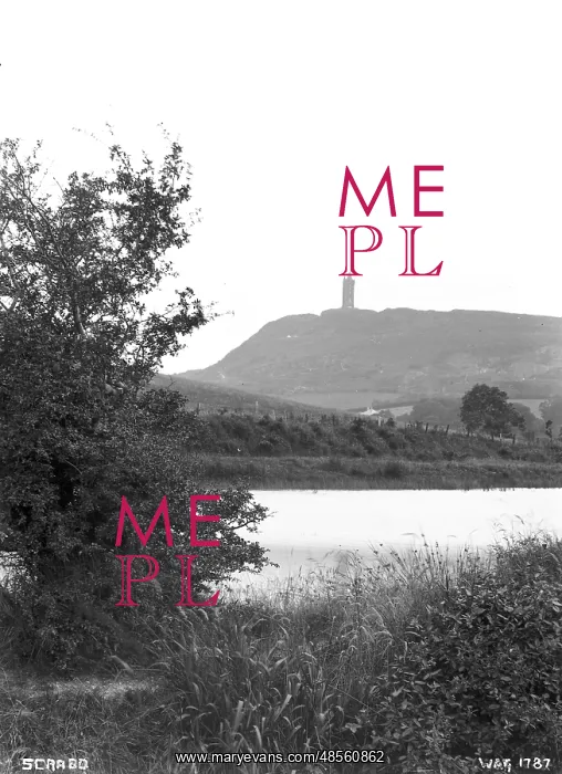 : Scrabo - a distant view of Scrabo Hill and Tower with the duck pond in the foreground : Scrabo - a distant view of Scrabo Hill and Tower with the duck pond in the foreground