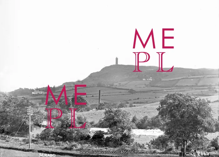 : Scrabo - a distant view of the tower over fields : Scrabo - a distant view of the tower over fields