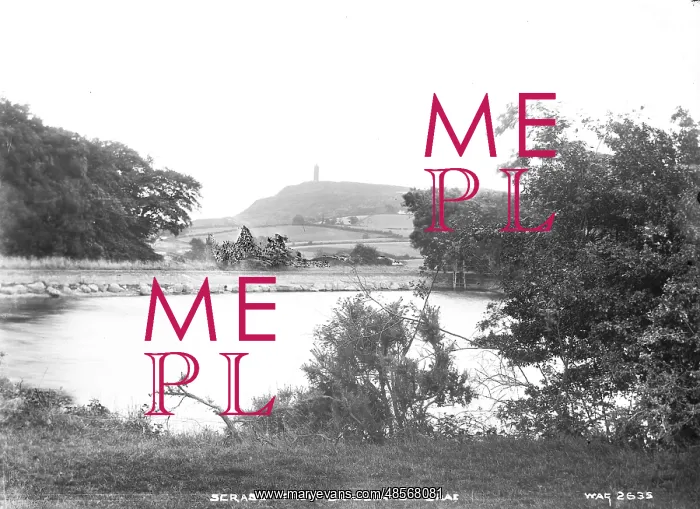 : Scrabo from Bradeshaws Brae : Scrabo from Bradeshaws Brae
