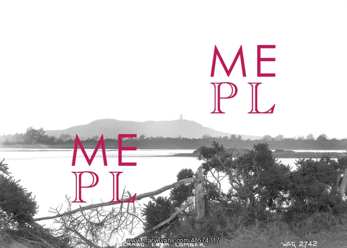 : Scrabo from Comber : Scrabo from Comber