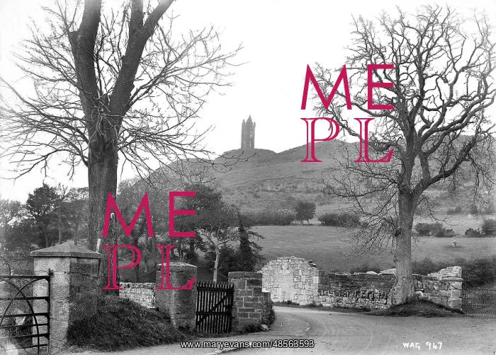 : Scrabo Hill : Scrabo Hill