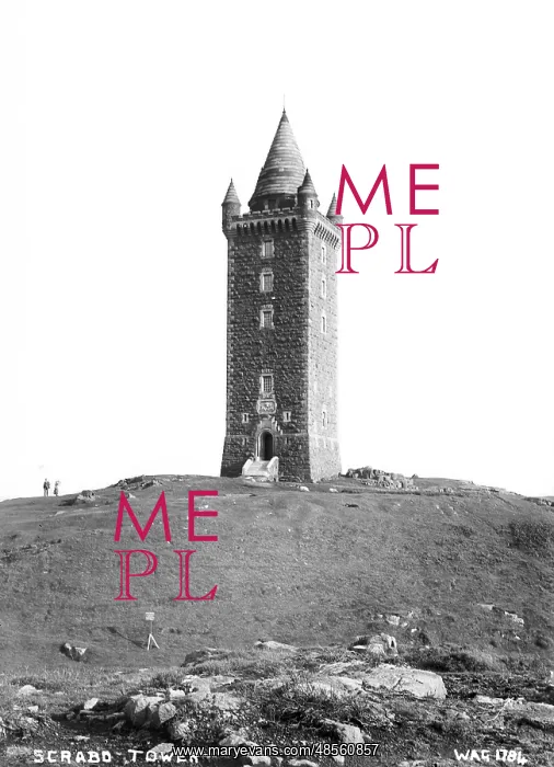 : Scrabo Tower : Scrabo Tower