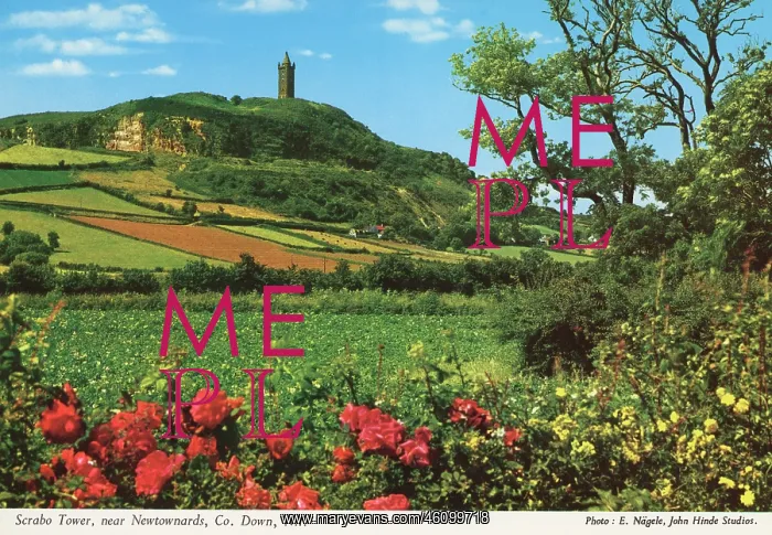: Scrabo Tower, County Down, Northern Ireland : Scrabo Tower, County Down, Northern Ireland