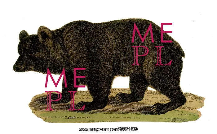  : Scrap - decoupage design - Black Bear