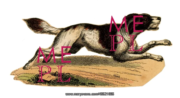  : Scrap - decoupage design - Dog