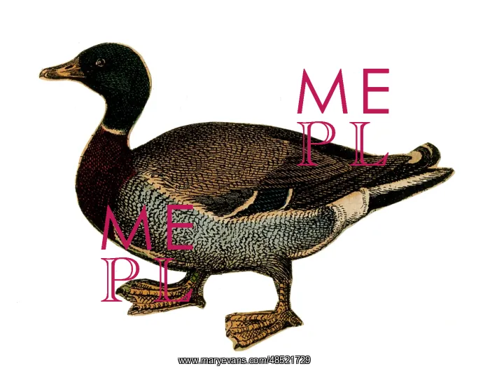  : Scrap - decoupage design - Duck