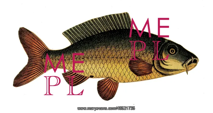  : Scrap - decoupage design - Fish