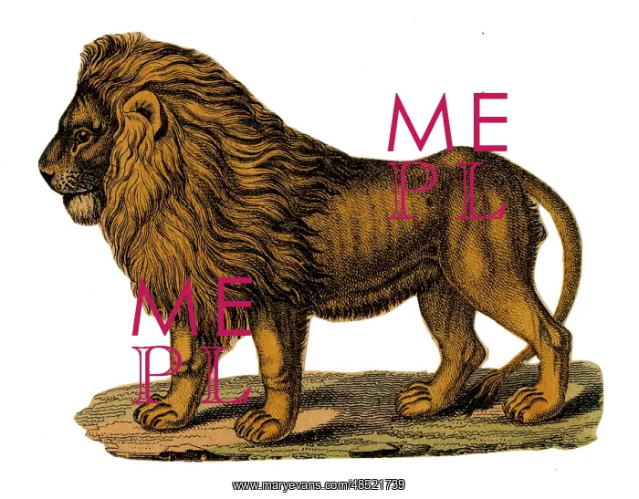  : Scrap - decoupage design - Lion