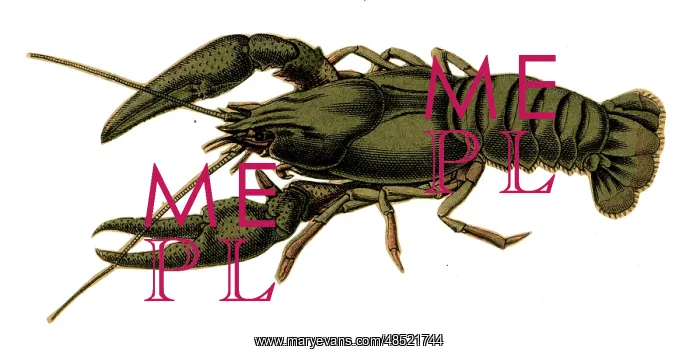  : Scrap - decoupage design - Lobster