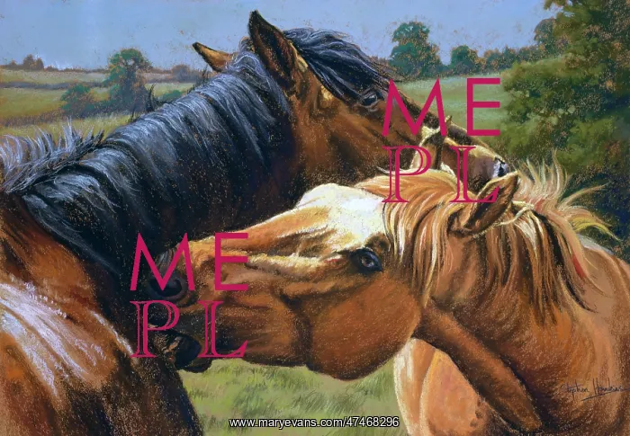  : You Scratch my Back ?