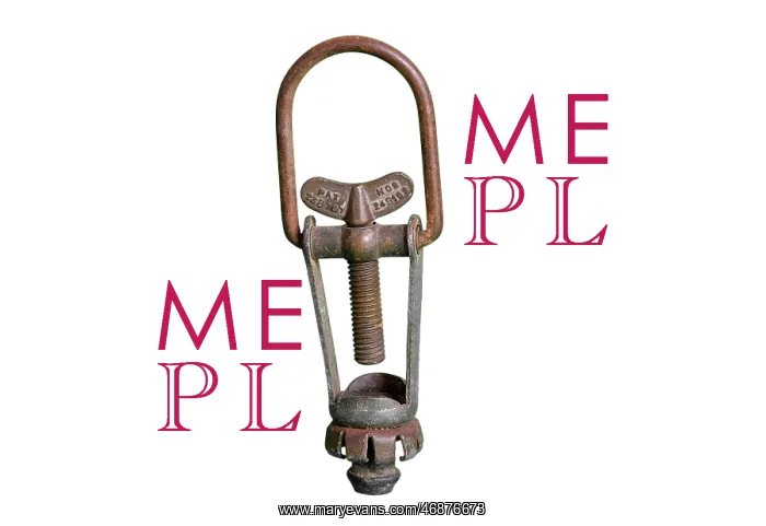 : Screw bottle stop : Screw bottle stop