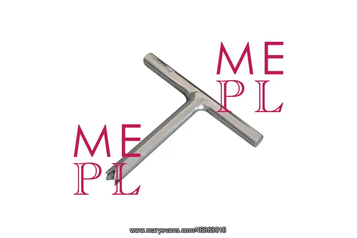  : Screw Remover Silver