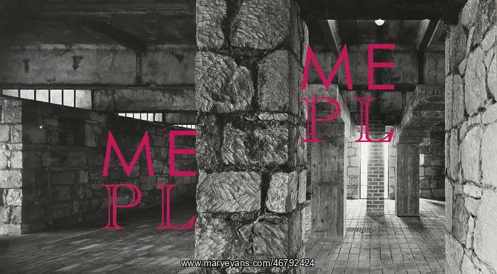 : The sculptor's house : The sculptor's house