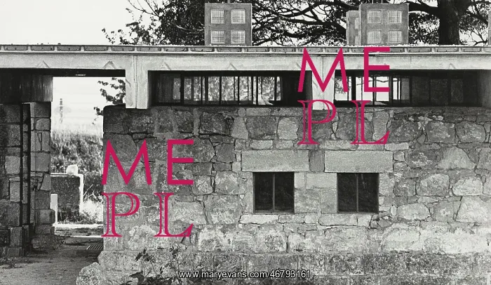 : The sculptor's house : The sculptor's house