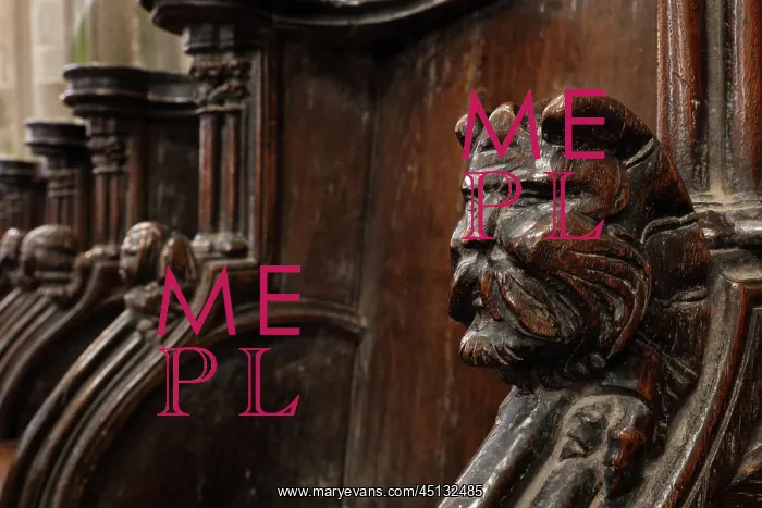 : Sculpture, Choir Stall, Cathedral Saint-Samson : Sculpture, Choir Stall, Cathedral Saint-Samson