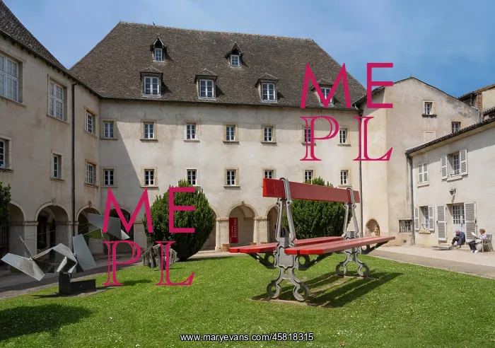 : Sculpture, Musee des Ursulines, Macon, Burgundy, France : Sculpture, Musee des Ursulines, Macon, Burgundy, France
