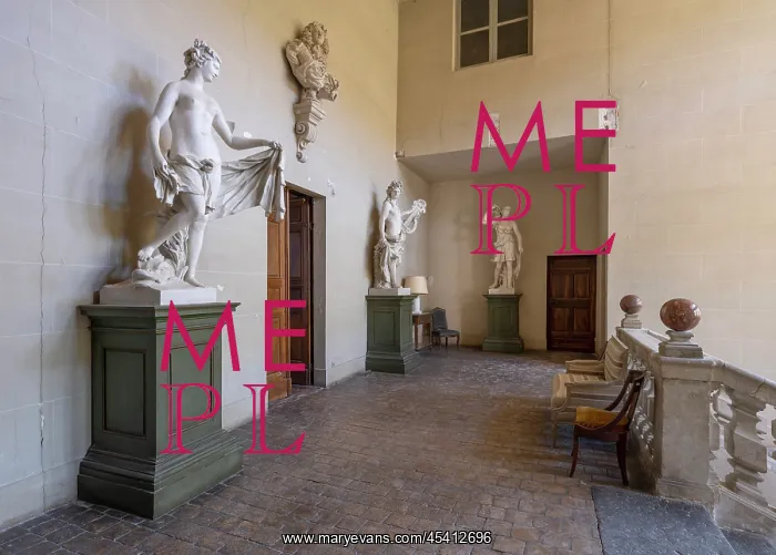 : Sculptures, Staircase of honour, Chateau de la Chaize : Sculptures, Staircase of honour, Chateau de la Chaize