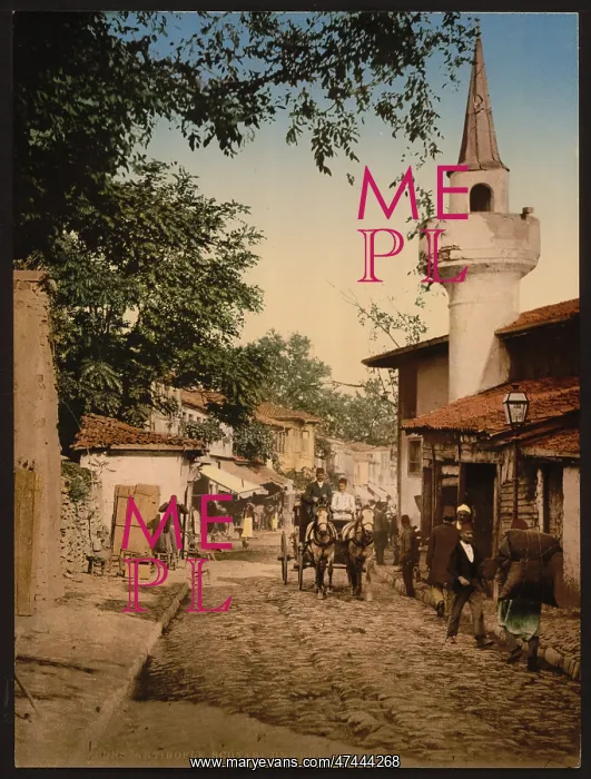 : Scutari, Constantinople, Turkey : Scutari, Constantinople, Turkey