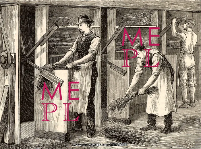: Scutching or dressing flax by beating the stalks : Scutching or dressing flax by beating the stalks
