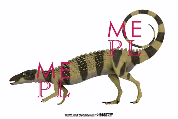 : Scutellosaurus armored dinosaur, side view on : Scutellosaurus armored dinosaur, side view on