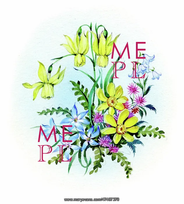  : Scylla, Celandine and miniature Daffodils