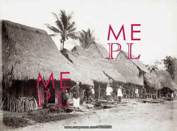 : SE Asia, probably Malay peninsula, traditional houses : SE Asia, probably Malay peninsula, traditional houses