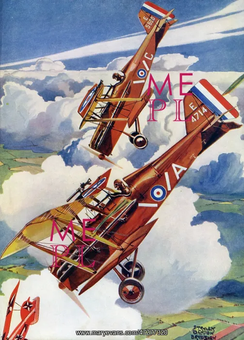: SE5S PURSUE AN ALBATROSS : SE5S PURSUE AN ALBATROSS