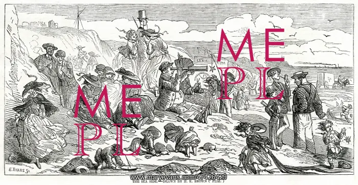 : Sea side 1856 : Sea side 1856