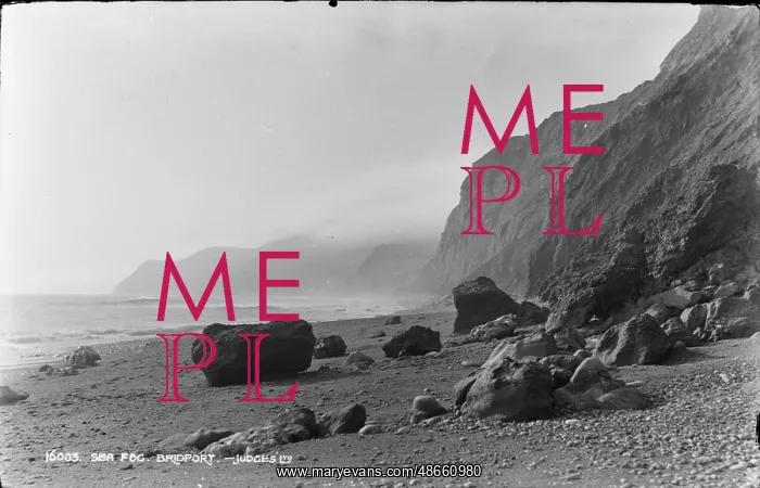 : Sea Fog at Bridport : Sea Fog at Bridport