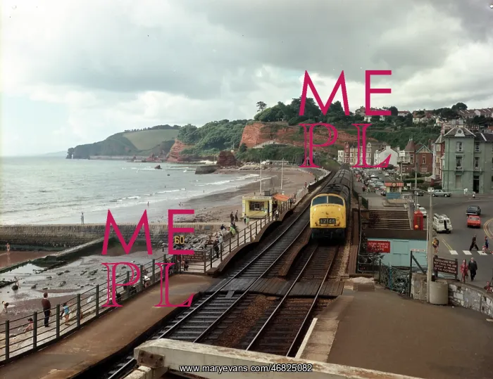 : The sea front, Dawlish : The sea front, Dawlish