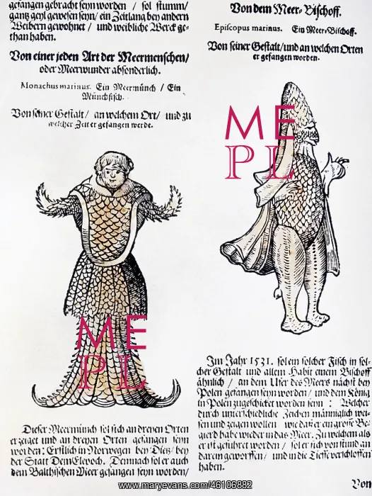 : Sea human and sea bishop : Sea human and sea bishop