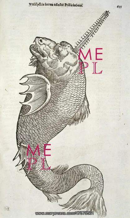 : Sea monster : Sea monster