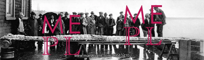 : Sea monster discovered in British Columbia : Sea monster discovered in British Columbia