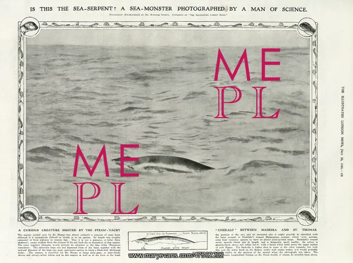 : A sea-monster photographed by a man of science : A sea-monster photographed by a man of science