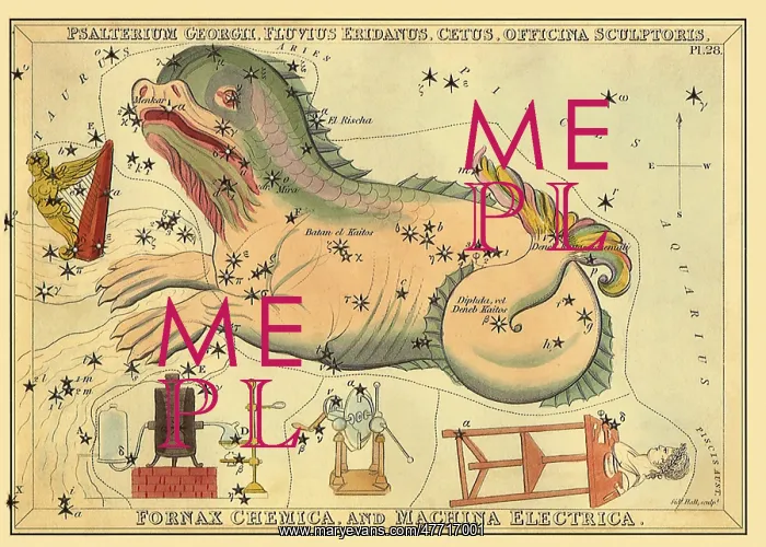  : Sea Monster with Stars