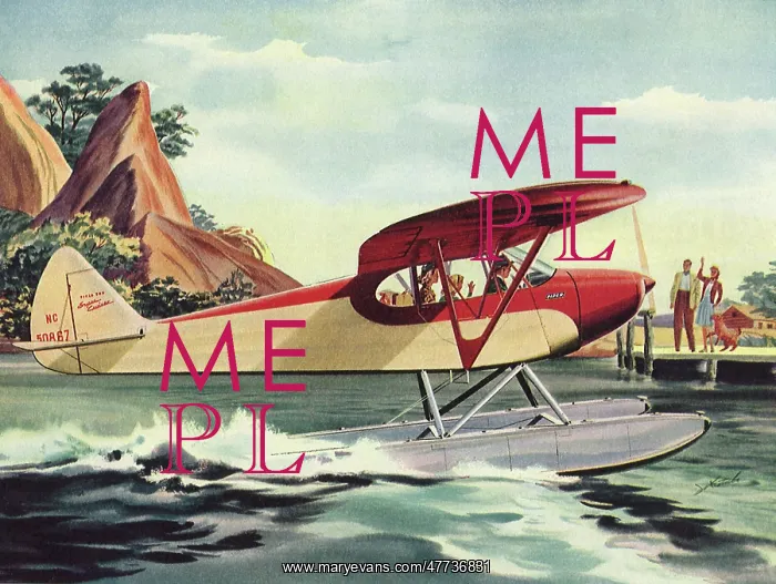  : Sea Plane