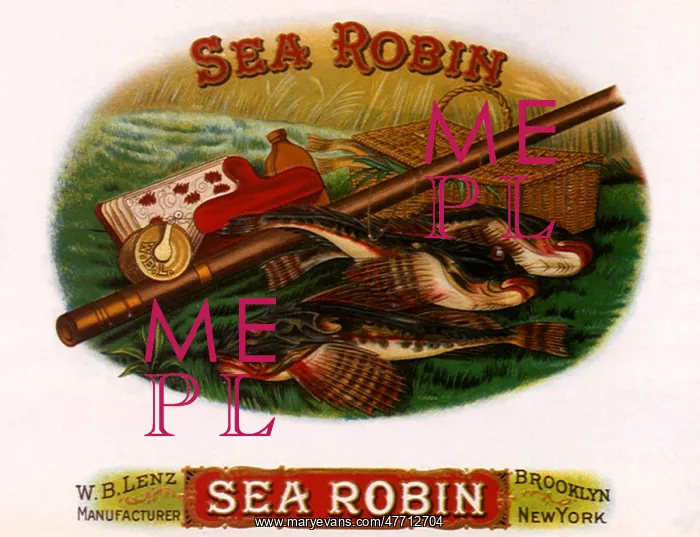  : Sea Robin